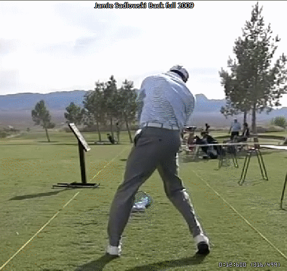 Weight transfer in the downswing Newton Golf Institute